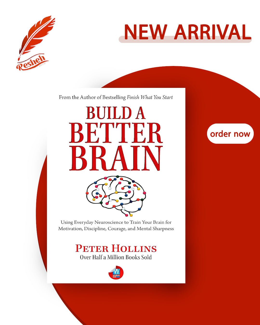Build a Better Brain (original) Peter Hollins