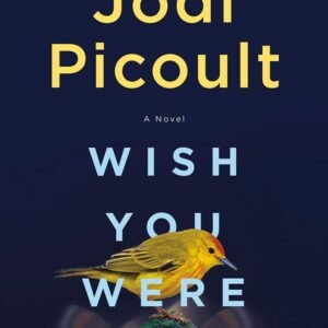 Wish You Were Here by Jodi Picoult
