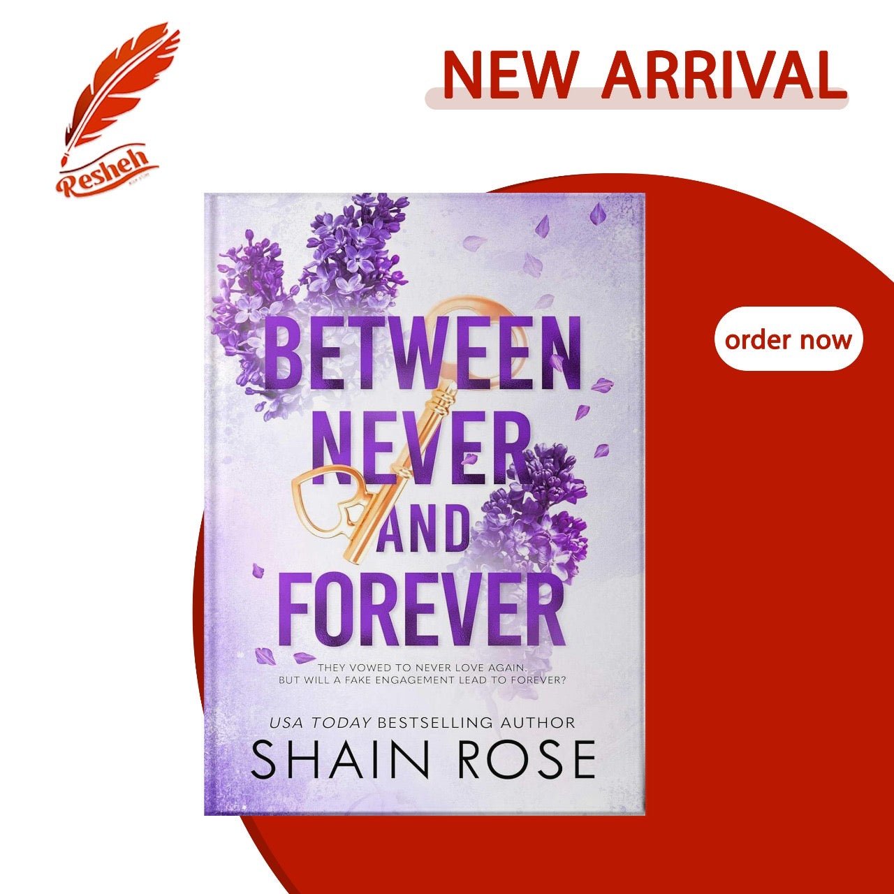 Hardy Billionaire Brothers part 3 Between Never and Forever Shain Rose