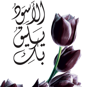 الأسود يليق بك لأحلام مستغانمي