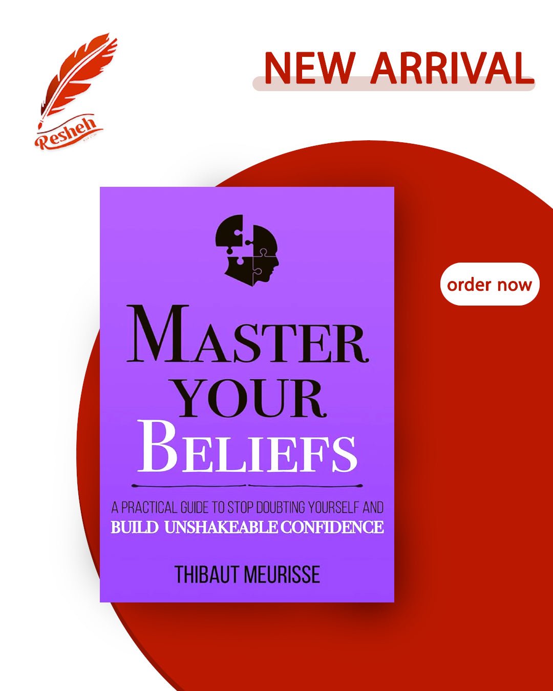 Master Your Beliefs (original) Thibaut Meurisse