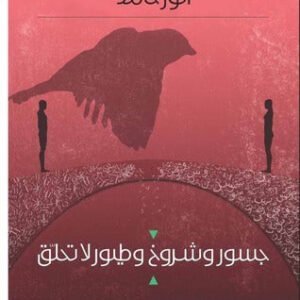 جسور وشروخ وطيور لاتحلق أنور حامد (اصلي)